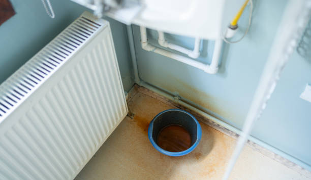 Best Emergency water extraction  in Colfax, WA