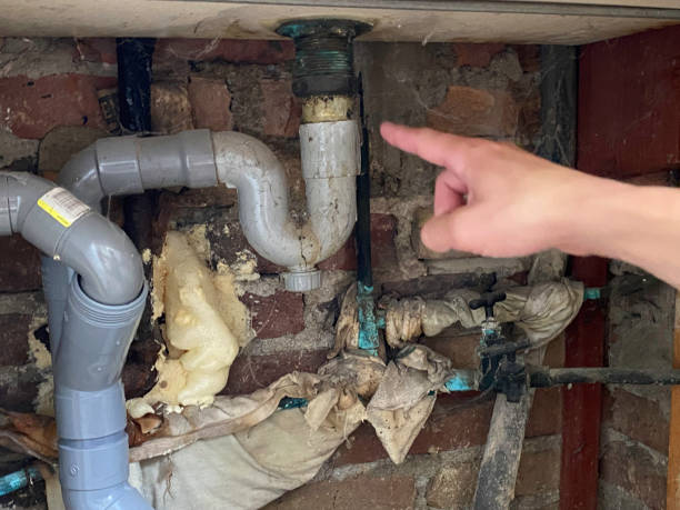 Best Carpet water damage restoration  in Colfax, WA